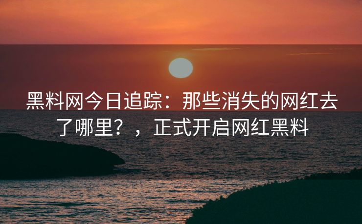黑料网今日追踪：那些消失的网红去了哪里？，正式开启网红黑料
