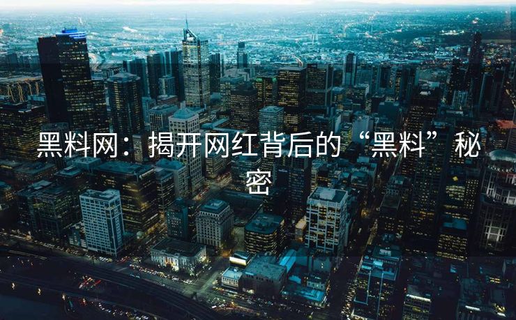 黑料网：揭开网红背后的“黑料”秘密