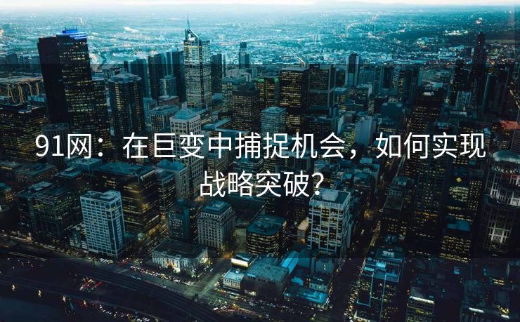 91网：在巨变中捕捉机会，如何实现战略突破？